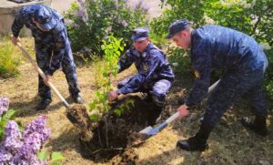 Сотрудники региональной уголовно-исполнительной системы стали участниками экологической акции «Всероссийский День посадки леса»