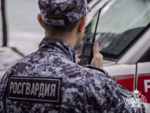 Росгвардейцы задержали злоумышленника за повреждение автомобиля новокузнечанина